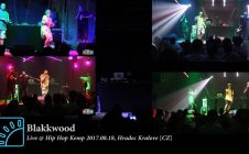 Blakkwood • Live @ #HipHopKemp2017.08.18, Hradec Kralove [CZ] #HHK2017