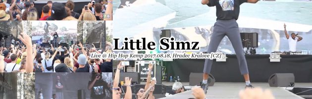 Little Simz • Live @ #HipHopKemp2017.08.18, Hradec Kralove [CZ]