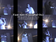 Vast Aire (Cannibal Ox) Live @ Moscow 2005